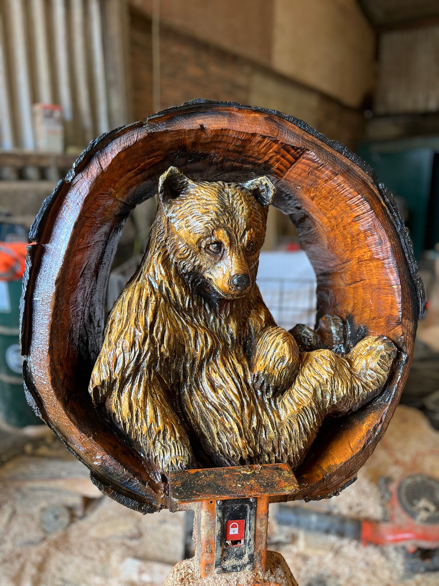 Bear in a Round