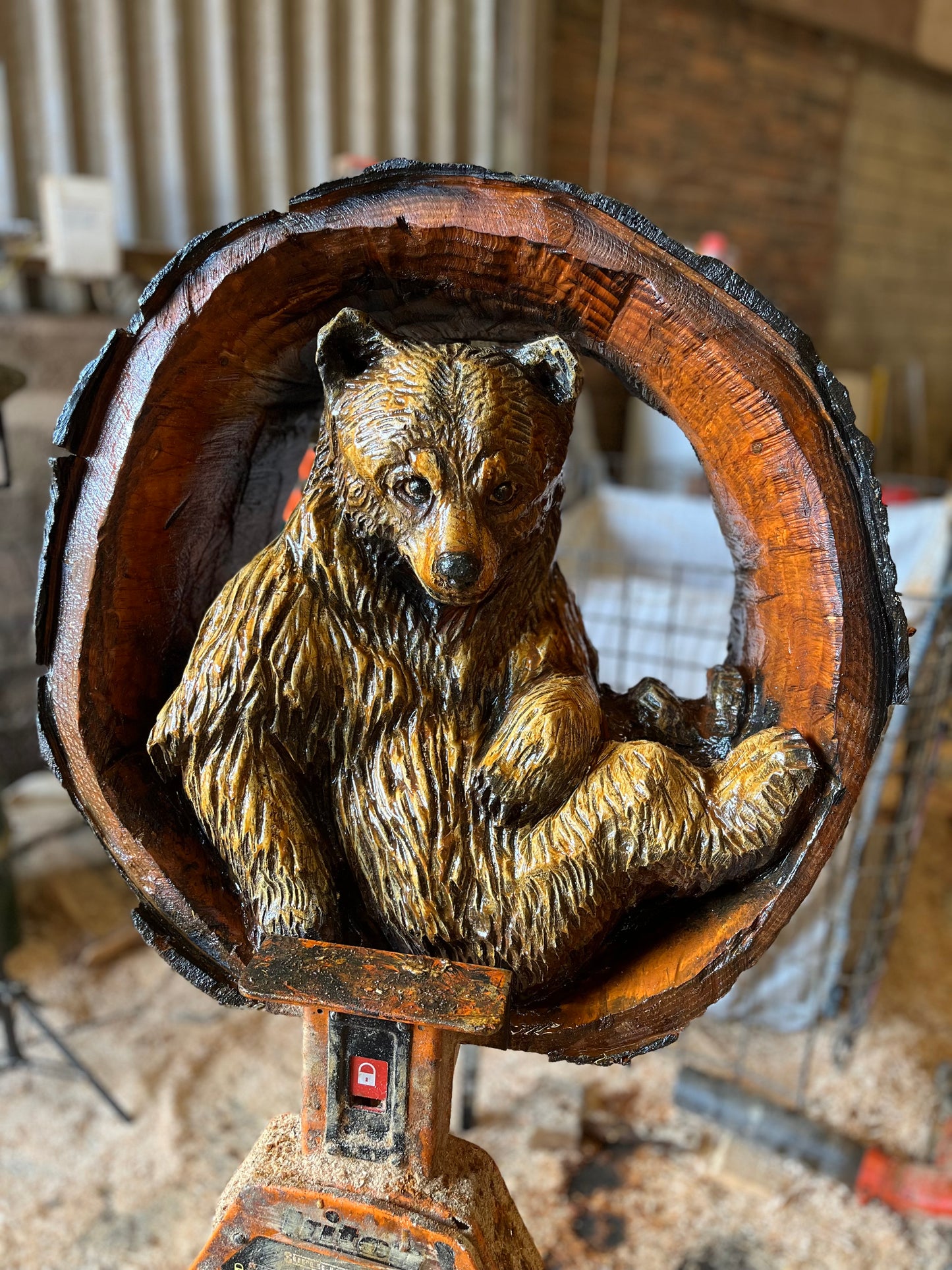 Bear in a Round